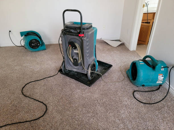 Best Water damage restoration near me  in Woody, WA