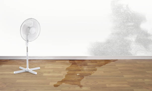 Best Residential water damage restoration  in Woody, WA