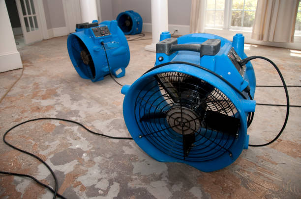Best Water damage contractors near me  in Woody, WA