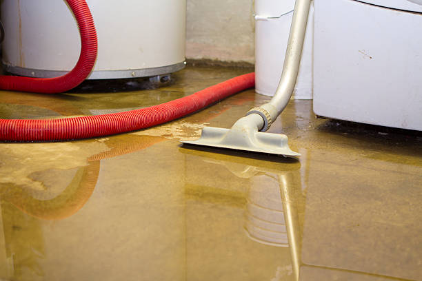 Best 24/7 water damage repair  in Woody, WA
