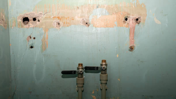  Woody, WA Water damage restoration Pros